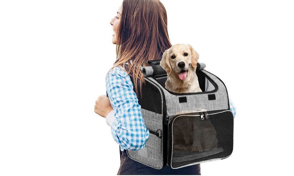 Best Dog Backpacks